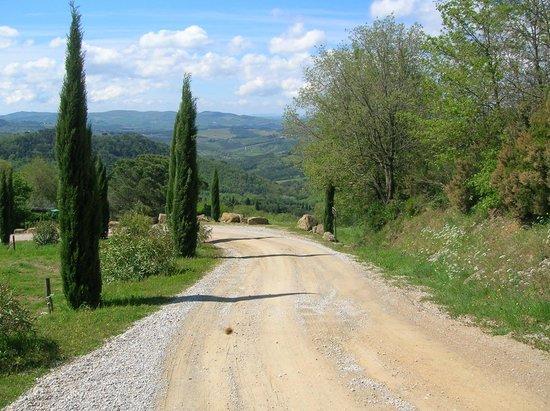 Cycling in Florence